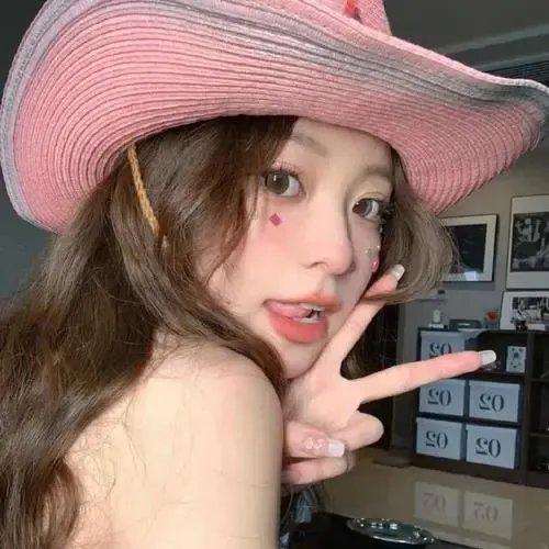 低清老翻王