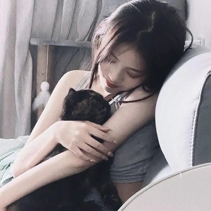 所有的猫都是灰色